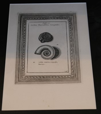 Lot 15 - Firminger (Rev. W. K.). Thacker's Guide to Calcutta, 1906..., and others