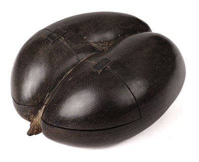 Lot 440 - Coco de Mer. A Coco de Mer seed (Lodoicea maldivica)