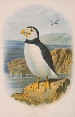 Lot 72 - Birds. A collection of approximately 200 prints, mostly 19th century