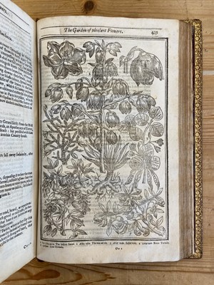 Lot 65 - Parkinson (John). Paradisi in sole Paradisus Terrestris, 1629