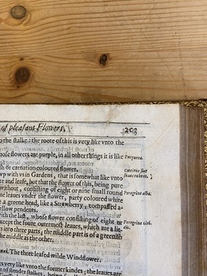 Lot 65 - Parkinson (John). Paradisi in sole Paradisus Terrestris, 1629