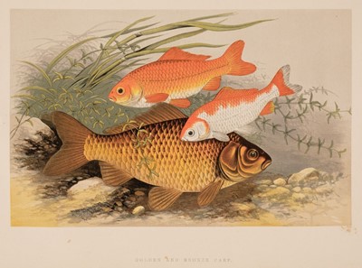 Lot 278 - Prints. A mixed collection of approx. 500 prints, posters and ephemera, mostly 19th & 20th century
