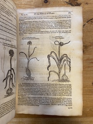 Lot 69 - Gerard (John). The Herball or Generall Historie of Plantes... very much enlarged..., 1636