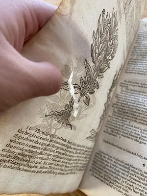 Lot 69 - Gerard (John). The Herball or Generall Historie of Plantes... very much enlarged..., 1636