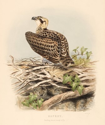 Lot 94 - Booth (Edward Thomas). Rough Notes on the Birds, 3 volumes, 1st edition 1881-87