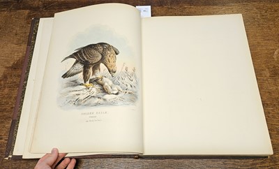 Lot 94 - Booth (Edward Thomas). Rough Notes on the Birds, 3 volumes, 1st edition 1881-87