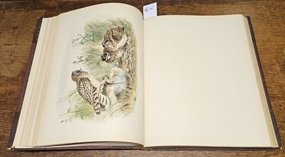 Lot 94 - Booth (Edward Thomas). Rough Notes on the Birds, 3 volumes, 1st edition 1881-87