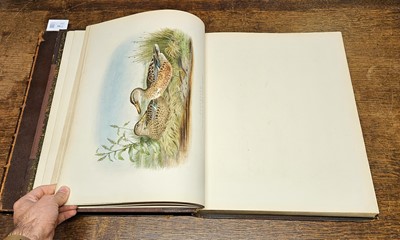 Lot 94 - Booth (Edward Thomas). Rough Notes on the Birds, 3 volumes, 1st edition 1881-87