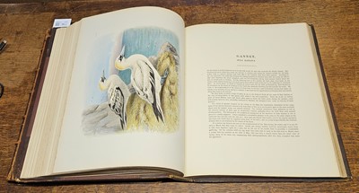 Lot 94 - Booth (Edward Thomas). Rough Notes on the Birds, 3 volumes, 1st edition 1881-87