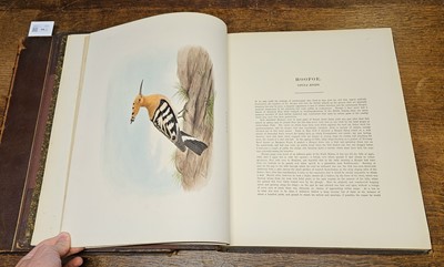 Lot 94 - Booth (Edward Thomas). Rough Notes on the Birds, 3 volumes, 1st edition 1881-87