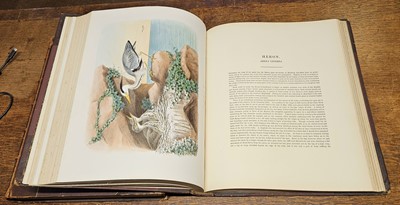 Lot 94 - Booth (Edward Thomas). Rough Notes on the Birds, 3 volumes, 1st edition 1881-87