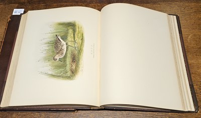 Lot 94 - Booth (Edward Thomas). Rough Notes on the Birds, 3 volumes, 1st edition 1881-87
