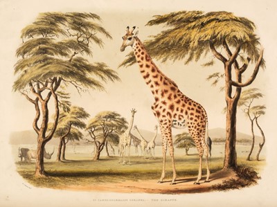 Lot 78 - Harris (Captain William Cornwallis). Portraits of the Game and Wild Animals, 1840