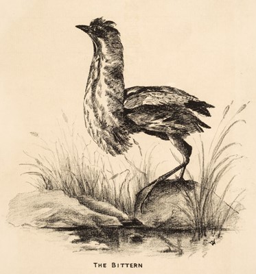 Lot 146 - Wrigley (John). Notes on the Bird Life of Formby, 1st edition, [1892]
