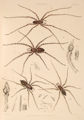 Lot 157 - Blackwall (John). A History of the Spiders of Great Britain and Ireland, 2 volumes in one, 1861