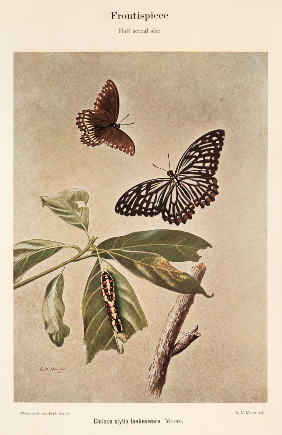 Lot 191 - Woodhouse (L.G.O., and Henry, G.M.R.). The Butterfly Fauna of Ceylon, 1st edition, Colombo, 1942