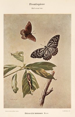 Lot 191 - Woodhouse (L.G.O., and Henry, G.M.R.). The Butterfly Fauna of Ceylon, 1st edition, Colombo, 1942