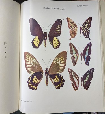 Lot 191 - Woodhouse (L.G.O., and Henry, G.M.R.). The Butterfly Fauna of Ceylon, 1st edition, Colombo, 1942