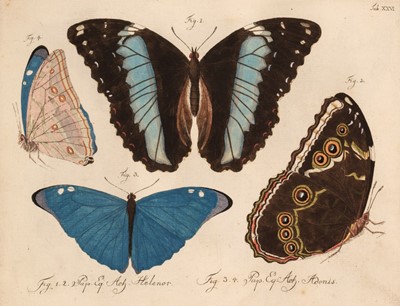 Lot 172 - Jablonsky, Carl Gustav & Johann F. W. Herbst. [Natursystem aller Bekannten in- und Auslandischen