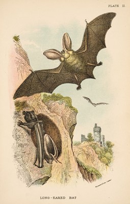Lot 48 - Bowdler Sharp (Richard, editor). Lloyd's Natural History, 16 volumes, London: Edward Lloyd, 1896-97
