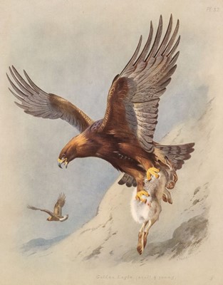 Lot 67 - Thorburn (Archibald). British Birds, 4 volumes, Large Paper copy, 1915-18, with supplement