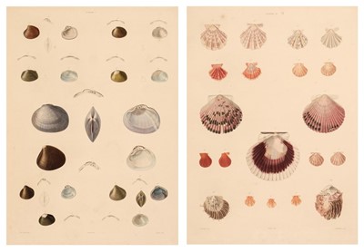 Lot 56 - Delessert (Benjamin). Recueil de Coquilles décrites par Lamarck, 1st edition, 1841