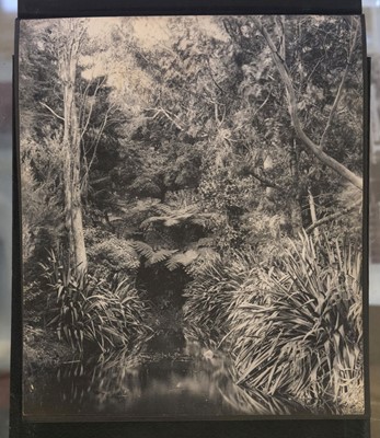 Lot 92 - Burma & Iraq. A pair of photograph albums, c. 1910s