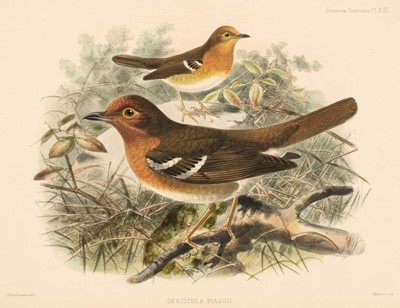 Lot 58 - Seebohm (Henry). A Monograph of the Turdidae, 2 volumes, 1st edition, [1898]-1902