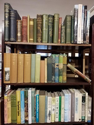 Lot 195 - Natural History. A large collection of late 19th century & modern natural history reference