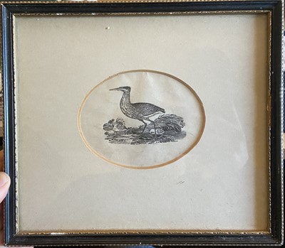 Lot 39 - Attributed to Thomas Bewick (1753-1828). The Swan, A Bittern and A Rat