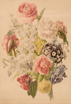 Lot 40 - Botanical Studies. English School, circa 1850