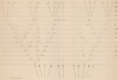 Lot 530 - Darwin (Charles). On The Origin of Species, 2nd edition, 2nd issue, London: John Murray, 1860