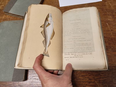 Lot 57 - Donovan (Edward). The Natural History of British Fishes, 5 volumes, 1808