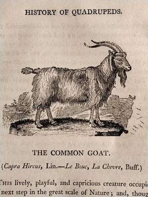 Lot 3 - Bewick (Thomas). A General History of Quadrupeds, 5th edition, 1807