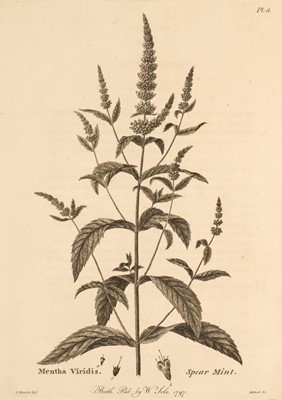 Lot 614 - Sole (William). Menthae Britannicae, 1st edition, 1798