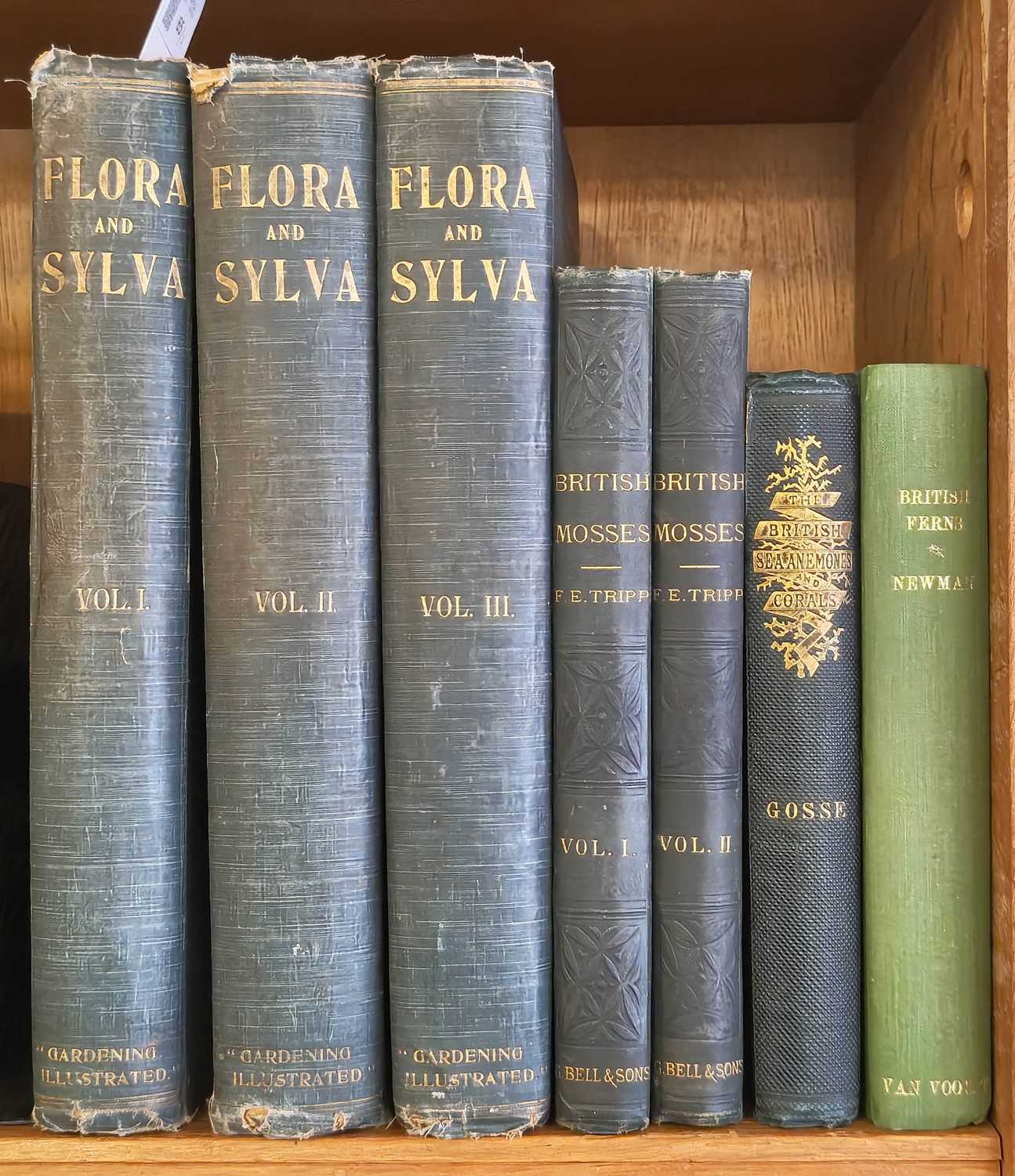 Lot 65 - Robinson (William, editor). Flora and Sylva, A Monthly Review for Lovers of Garden, 3 vols., 1903-05