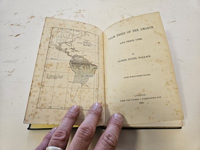 Lot 620 - Wallace (Alfred Russel). Palm Trees of the Amazon, 1st edition, 1853