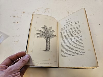 Lot 620 - Wallace (Alfred Russel). Palm Trees of the Amazon, 1st edition, 1853
