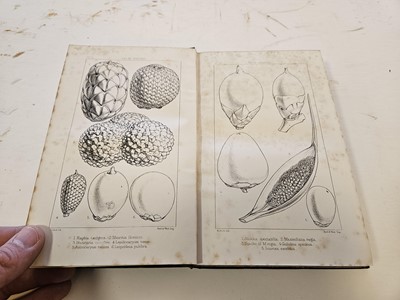 Lot 620 - Wallace (Alfred Russel). Palm Trees of the Amazon, 1st edition, 1853