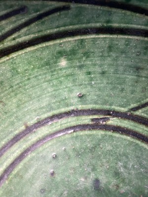 Lot 527 - Finch (Ray, 1914-2012) for Winchcombe Pottery. A green pottery bowl
