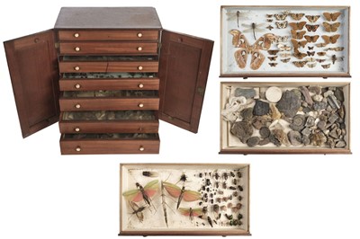 Lot 569 - Specimen Cabinet. A Victorian mahogany 7 drawer specimen cabinet and contents