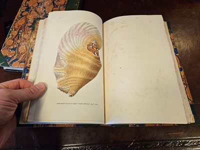 Lot 654 - Donovan (Edward). The Naturalist's Repository or Miscellany of Exotic Natural History
