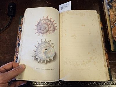 Lot 654 - Donovan (Edward). The Naturalist's Repository or Miscellany of Exotic Natural History