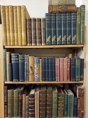 Lot 417 - Ornithology. A collection of late 19th & early 20th century ornithology reference