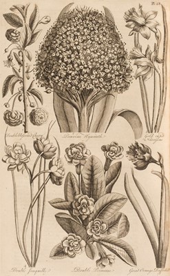 Lot 310 - Hill (John). Eden: or a Compleat Body of Gardening, 1st edition, 1757