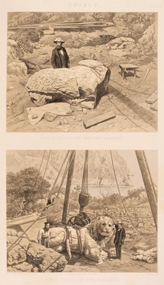 Lot 314 - Newton (Charles Thomas). A History of Discoveries at Halicarnassus, 1862