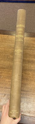 Lot 34 - Newton (Charles Thomas). A History of Discoveries at Halicarnassus, 1862