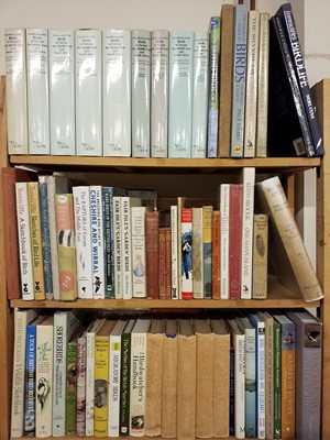 Lot 419 - Ornithology. A large collection of modern ornithology reference