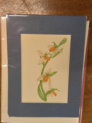 Lot 131 - Botany. A collection of approximately 320 prints, mostly 19th and early 20th century