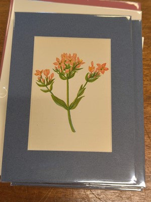 Lot 131 - Botany. A collection of approximately 320 prints, mostly 19th and early 20th century